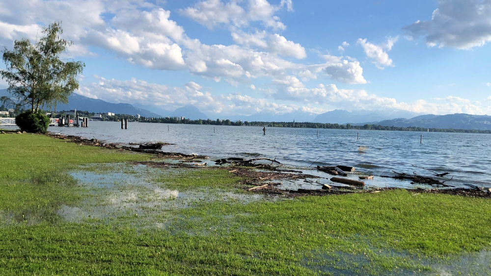 Bodensee trotz Hochwasser ideales Freizeitparadies