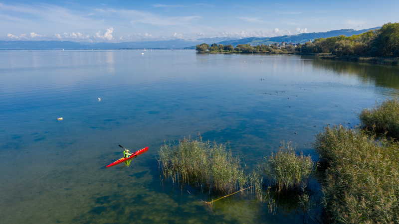 Sommer Thurgau